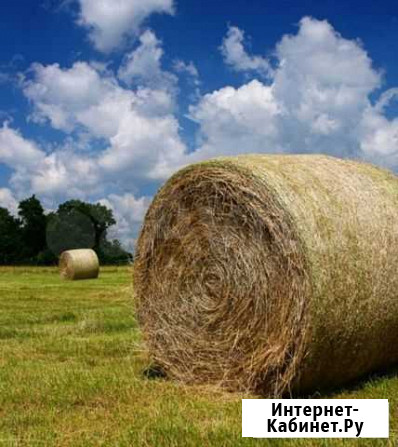 Сено Большое Нагаткино - изображение 1