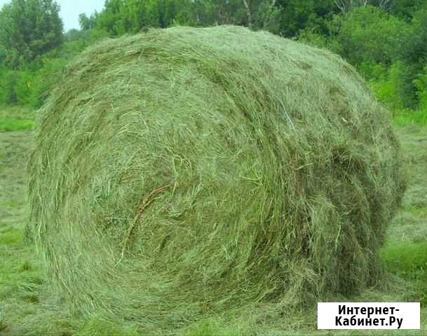Сено Ясногорск - изображение 1
