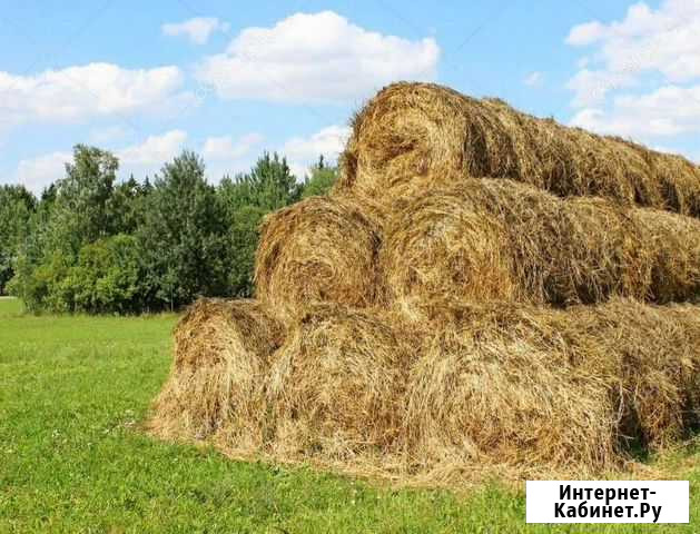 Сено Арзамас - изображение 1