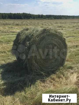 Сено Калач-на-Дону - изображение 1