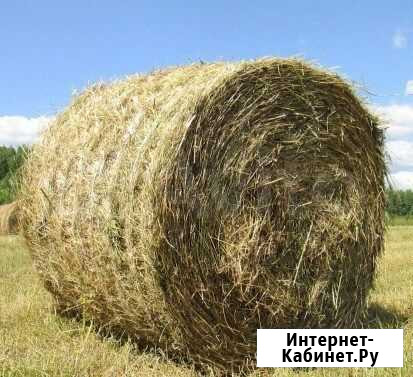 Сено Азнакаево - изображение 1