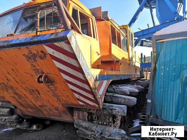 Снегоболотоход ттм-6901Э Усть-Кут - изображение 1