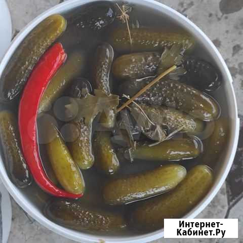 Соленья Черкесск - изображение 1