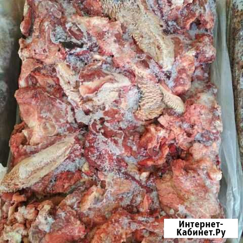 Субпродукты для собак Выборг - изображение 1