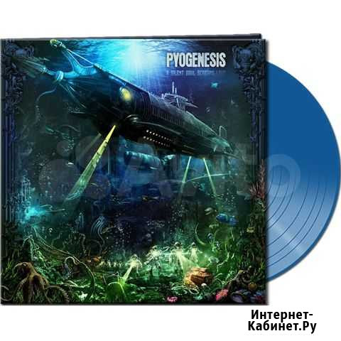 Винил pyogenesis Кемерово - изображение 1