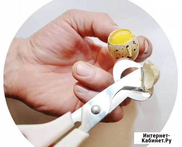Ножницы для вскрытия перепелиного яйца Калининград - изображение 1