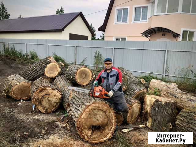 Спил обрезка деревьев с агп Самара - изображение 1