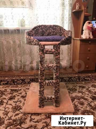 Стульчик для кошки Петропавловск-Камчатский - изображение 1