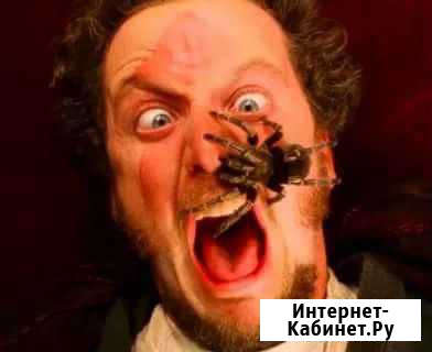 Паук Покровское - изображение 1