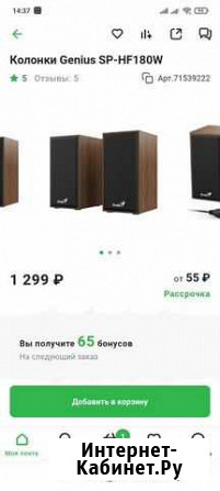 Компьютерные колонки Абакан - изображение 1