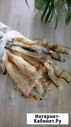 Мех лиса, шкурки Волгоград - изображение 1