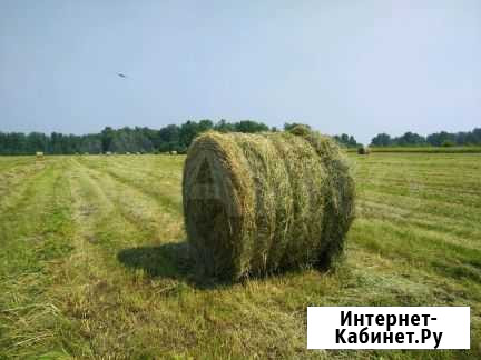 Сено Елец - изображение 1