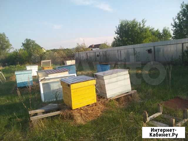 Ульи Лаишево - изображение 1