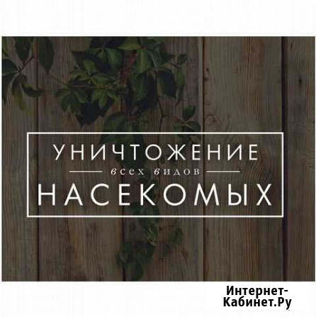 Уничтожение клопов и тараканов Москва - изображение 1