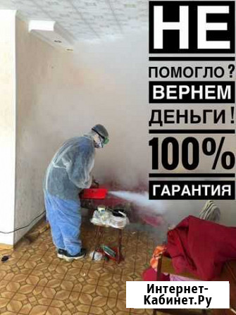 Обработка от Тараканов, Клопов и др Казань - изображение 1