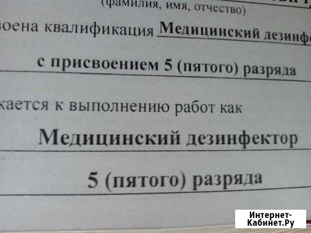 Дезинфекция, уничтожение грызунов, тараканов Самара - изображение 1