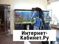 Чистка аквариумов Волгодонск - изображение 1