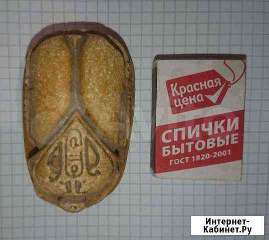 Нацкэ жука скоробея Белгород