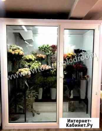 Холодильная камера для цветов Москва