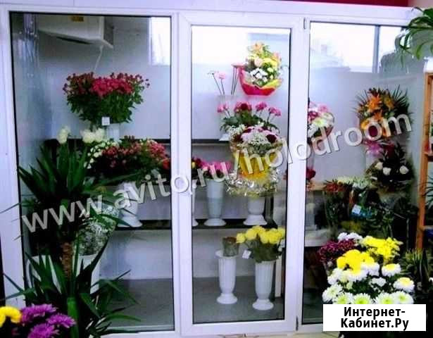 Холодильная камера для цветов Москва - изображение 1