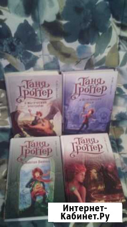 Дмитрий Емец, Таня Гроттер Владимир - изображение 1