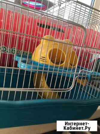 Клетка Новосибирск