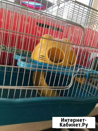 Клетка Новосибирск - изображение 1