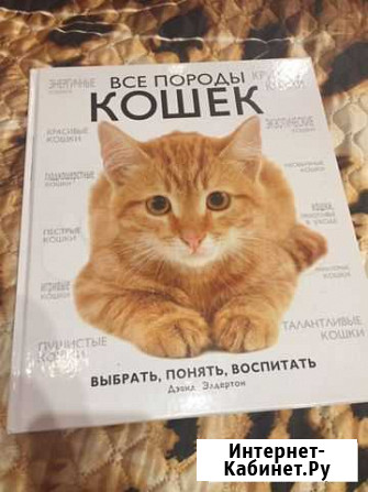 Книга Анапа - изображение 1