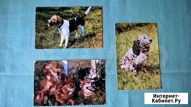 Открытки советского периода Казань - изображение 1