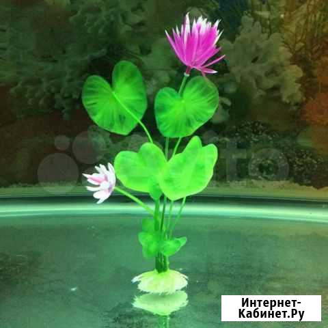 Искусственные водоросли Нижний Новгород - изображение 1