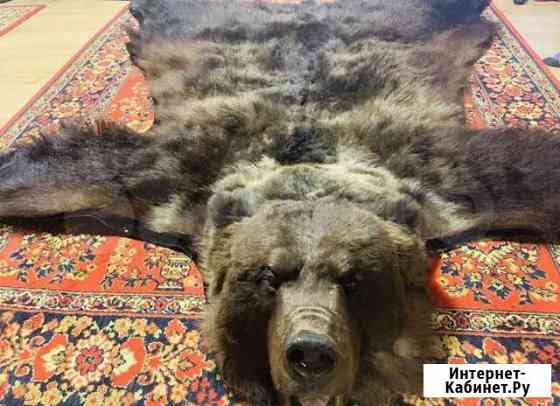 Шкура медведя (имитация) Уфа