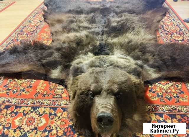 Шкура медведя (имитация) Уфа - изображение 1