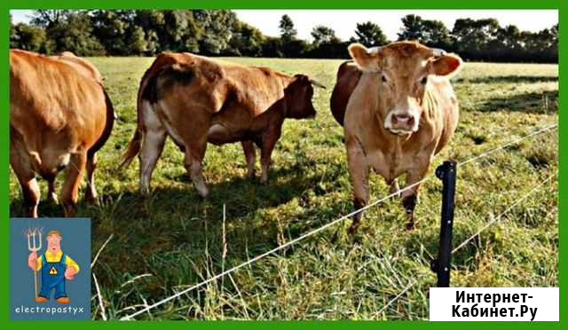Электронный пастух Agri Ипатово - изображение 1