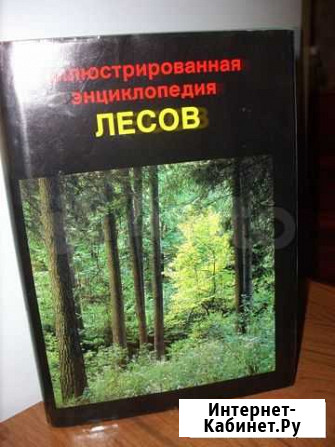 Энциклопедия лесов Белоомут - изображение 1