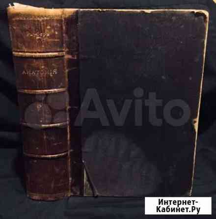 Антикварная книга, анатомия Екатеринбург