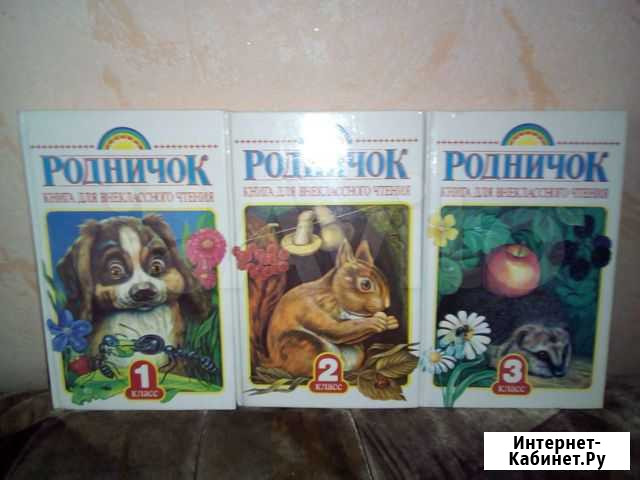 Книга Бийск - изображение 1