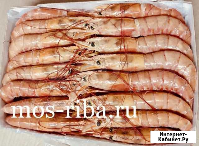 Лангустины L1 крупные Реутов - изображение 1