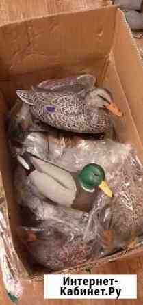 Чучела уток Final Approach, комплект 12шт (7 селез Нижний Новгород