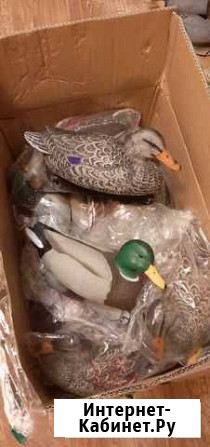 Чучела уток Final Approach, комплект 12шт (7 селез Нижний Новгород - изображение 1