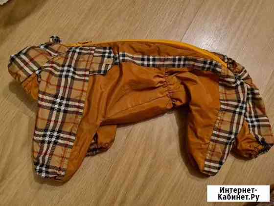 Дождевик для собак утепленный Екатеринбург