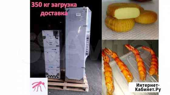 Коптильный цех на 350 кг Санкт-Петербург