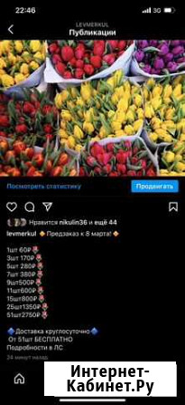 Доставка Тюльпанов Старый Оскол - изображение 1