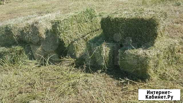 Сено тюковое Троицк - изображение 1