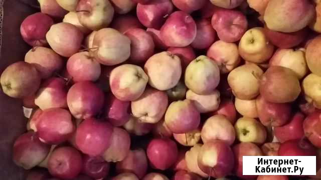 Яблоки Москва - изображение 1
