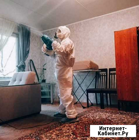 Уничтожение клещей, клопов. Травить кротов Коломна - изображение 1