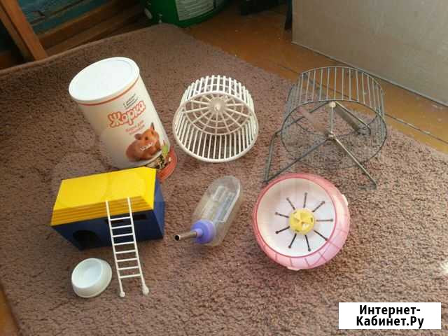 Инвентарь для хомяка Новосибирск - изображение 1