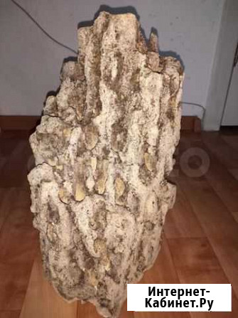 Камень песчанник для аквариума. 40*25см Новосибирск - изображение 1