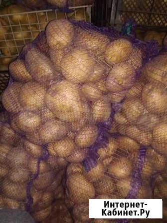Продукты Рубцовск - изображение 1
