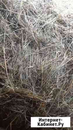 Сено, солома Екатеринбург