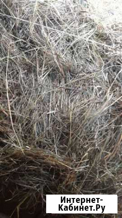 Сено, солома Екатеринбург - изображение 1